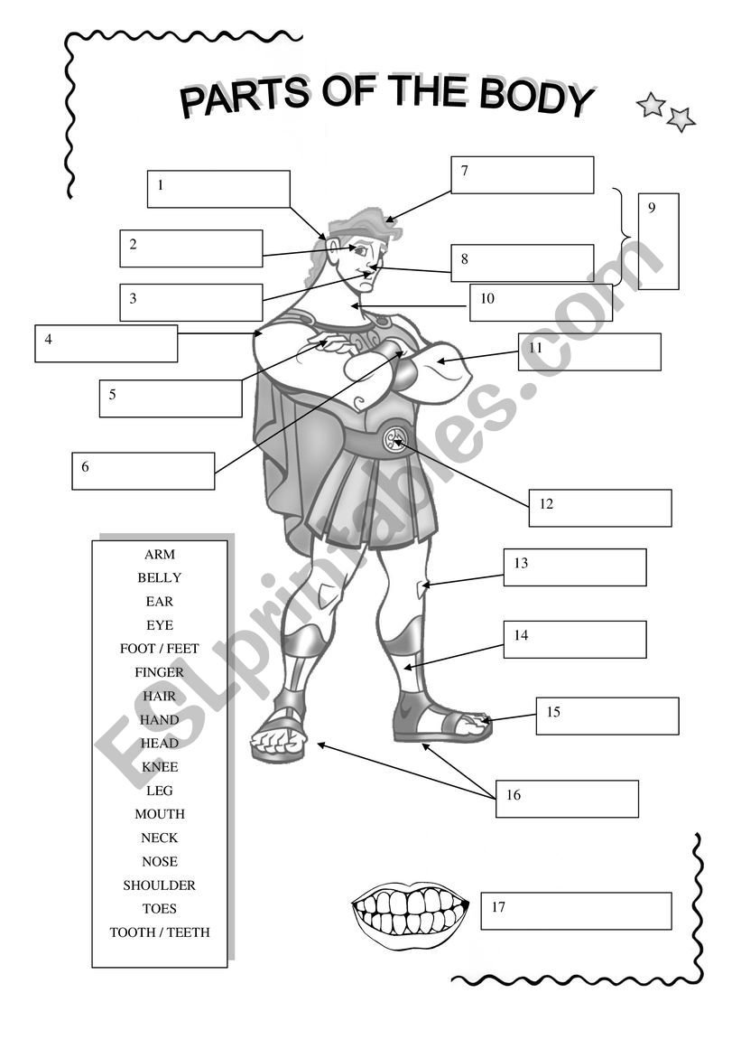 Parts of the body worksheet