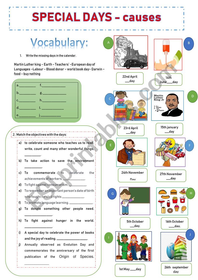 SPECIAL DAY - CAUSES worksheet