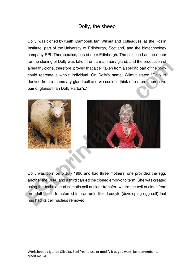 Dolly - The sheep worksheet