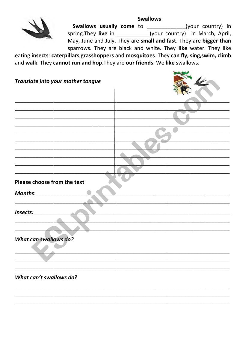 Speaking, reading, writing worksheet