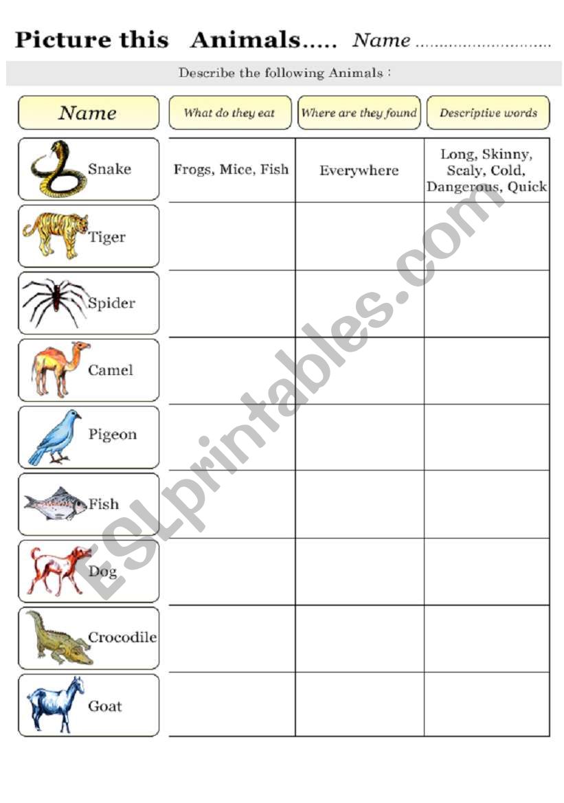 Picture this       Animals worksheet