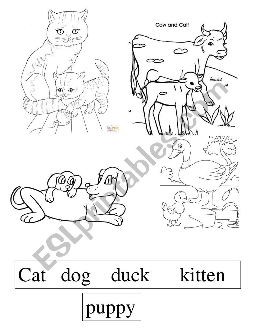 Farm animals and their babies worksheet