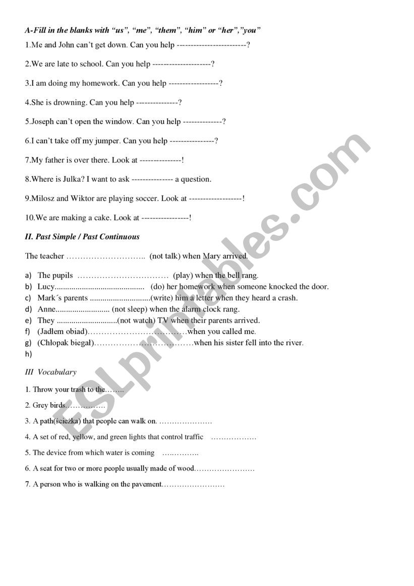 Past Simple/Past Continuous worksheet