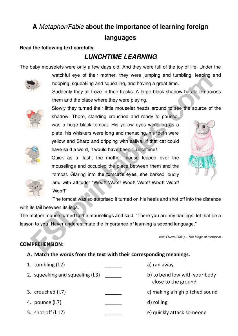 Lunchtime learning worksheet