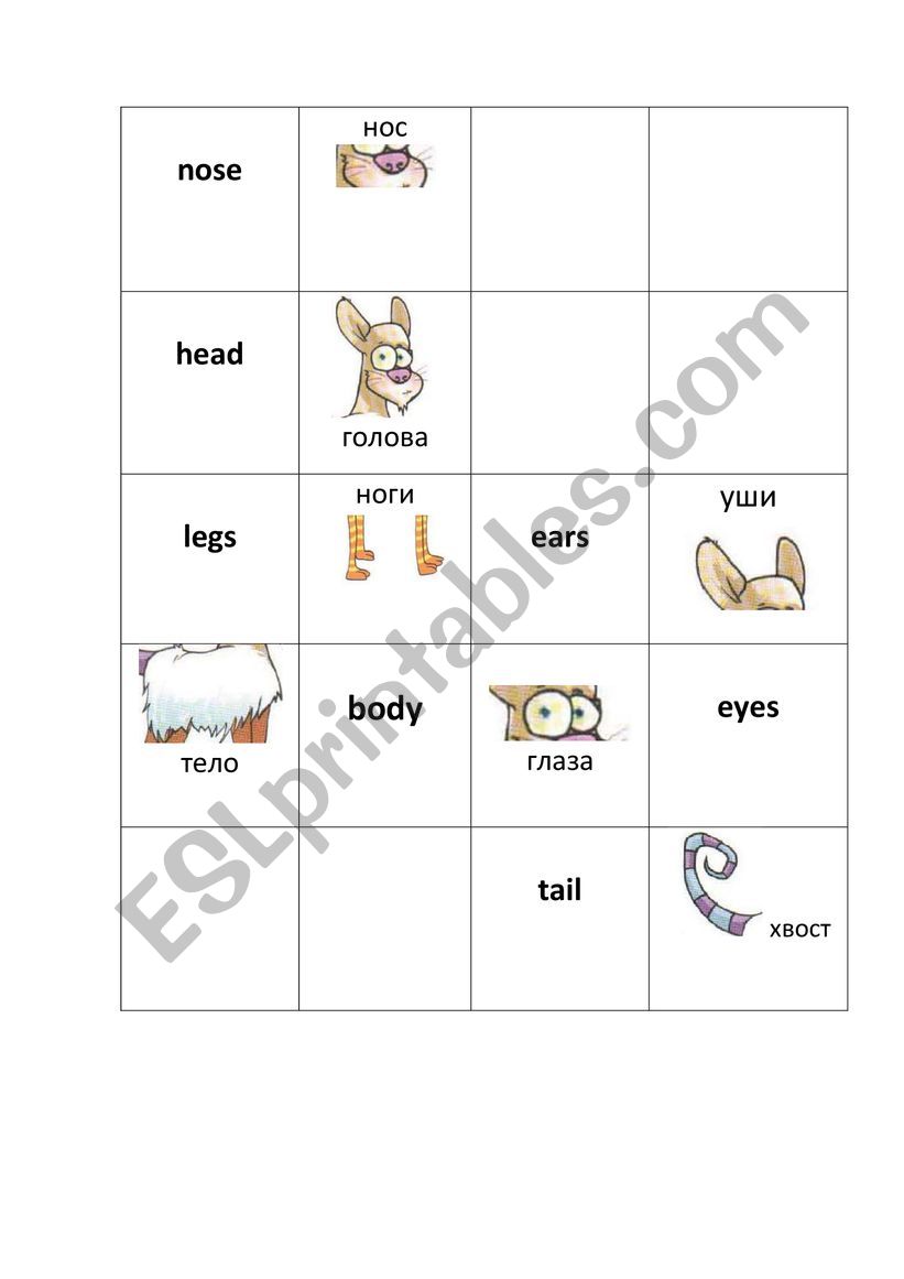 Animals Body Parts Bingo Cards Game