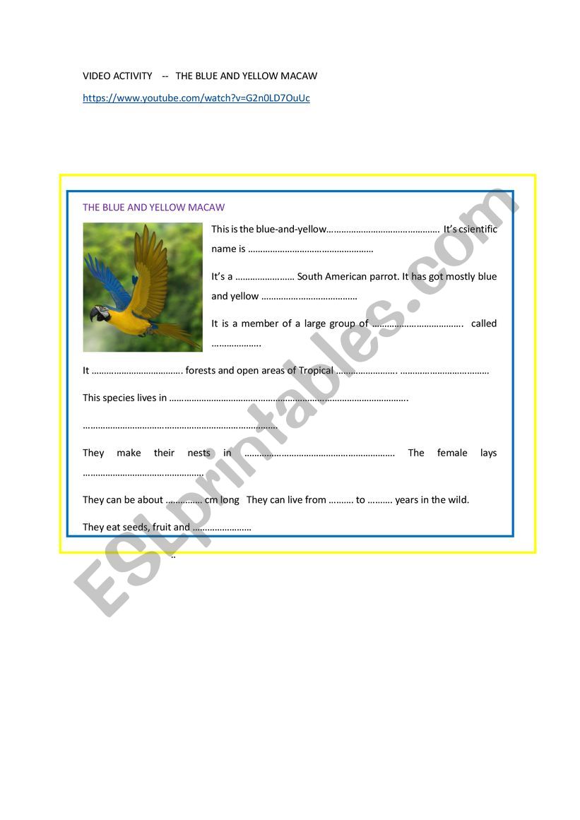 THE BLUE AND YELLOW MACAW worksheet