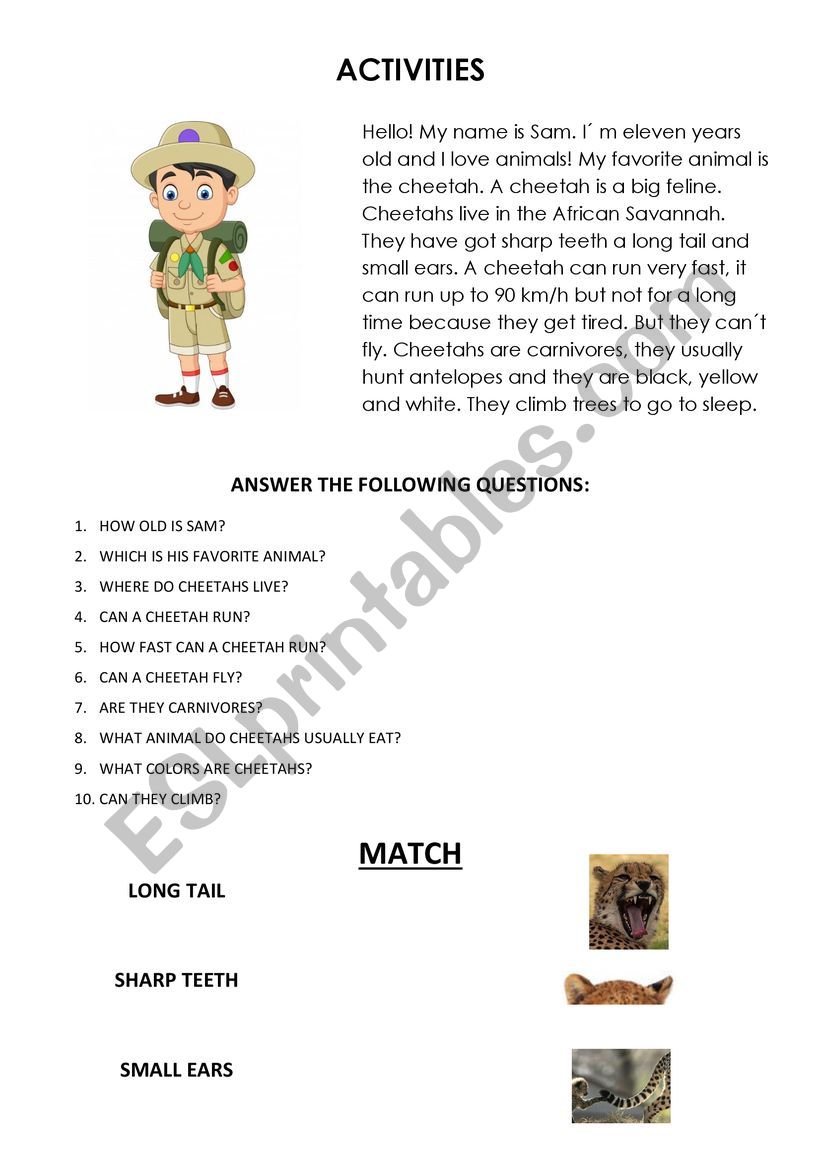 Cheetahs worksheet