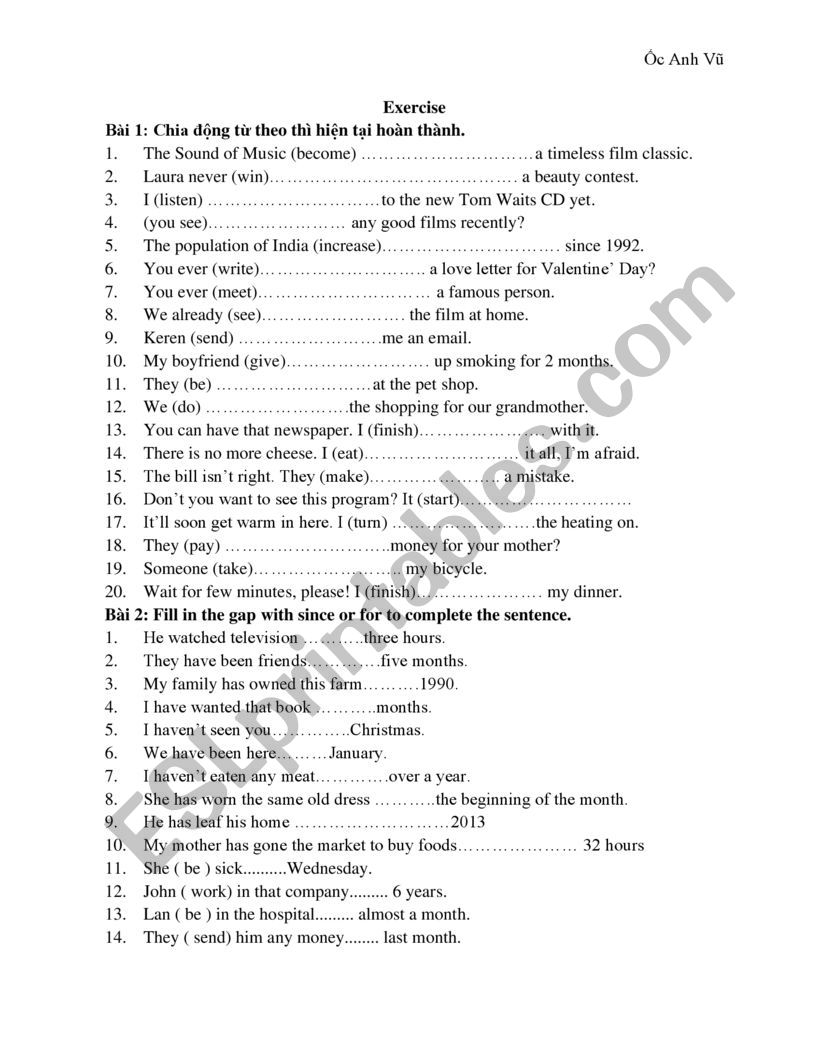 present perfect  worksheet