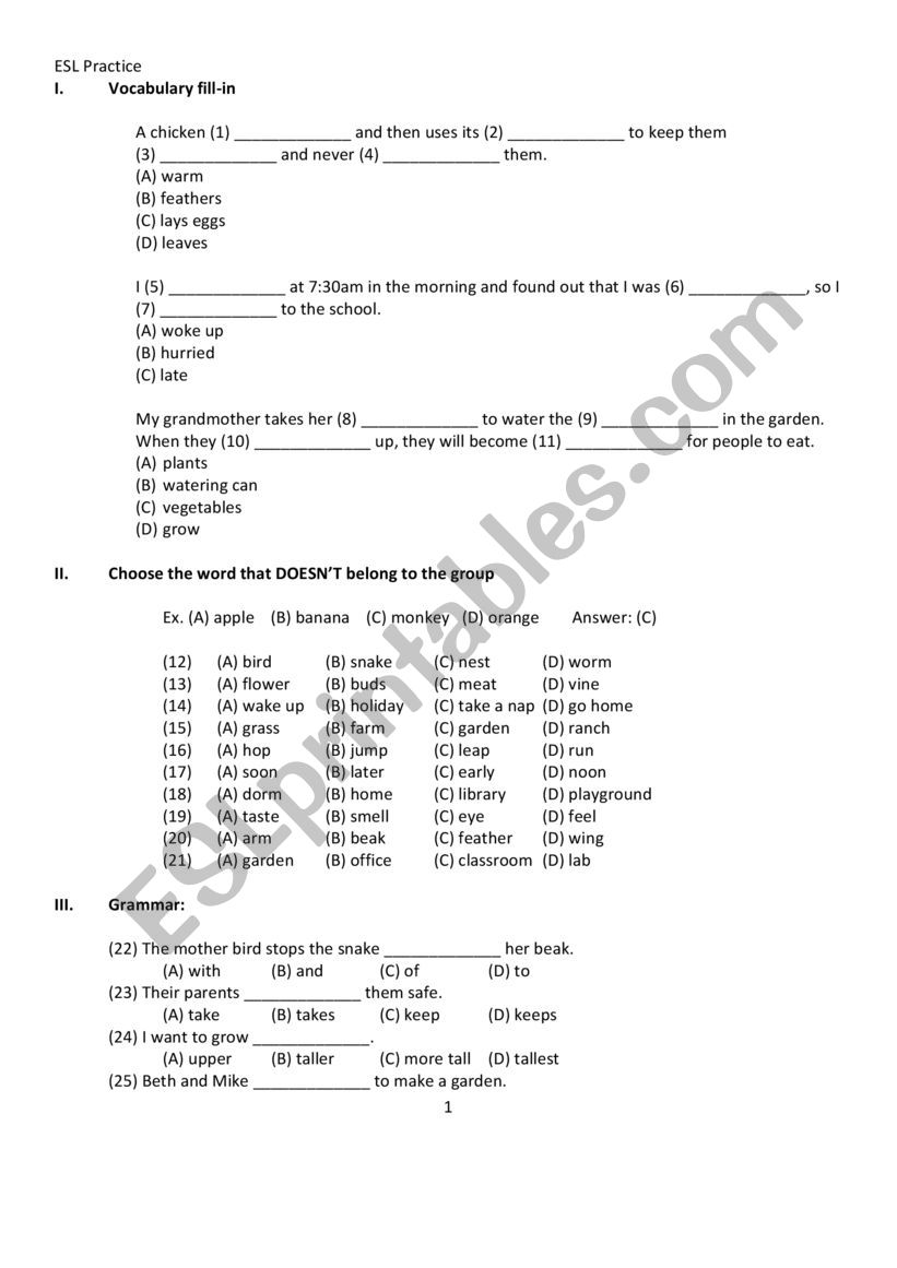 ESL written test- grammar & reading