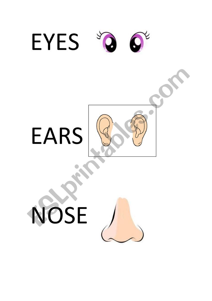 PARTS OF THE FACE worksheet