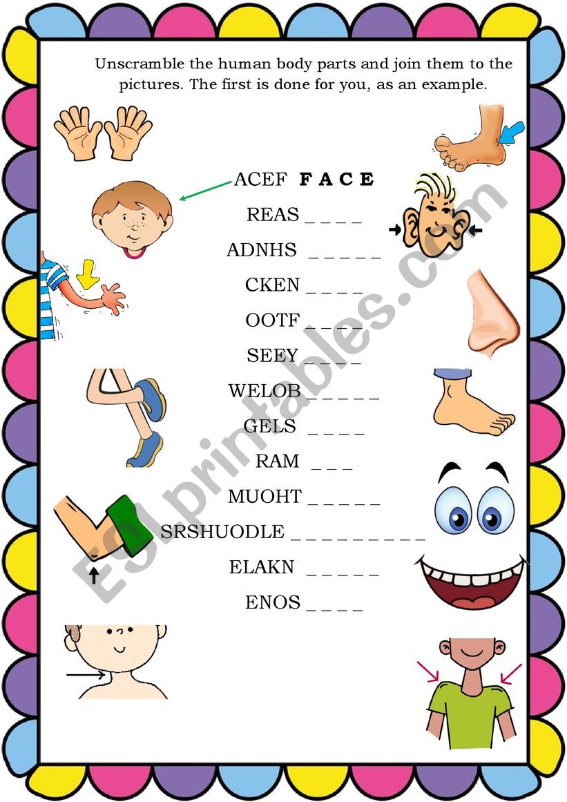 Unscramble Body Parts  worksheet