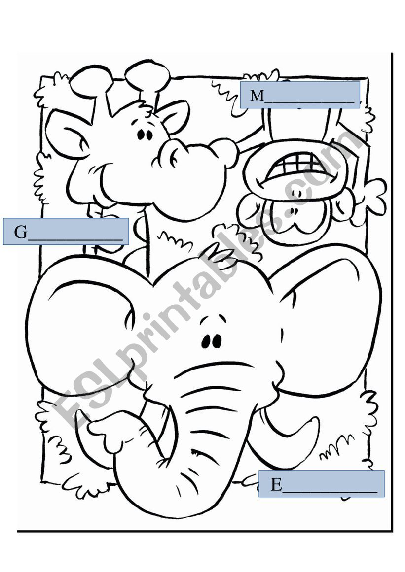 Jungle animals worksheet