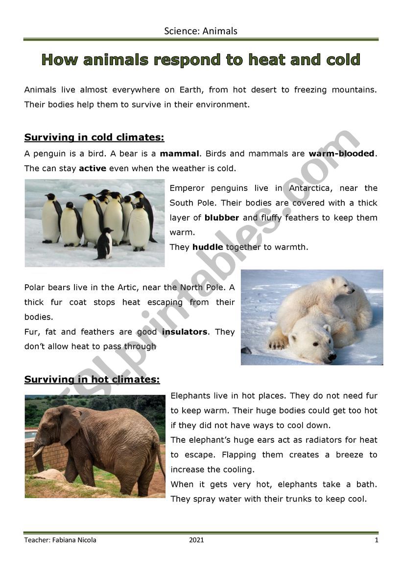 How animals respond to cold and hot weather - ESL worksheet by fabynic