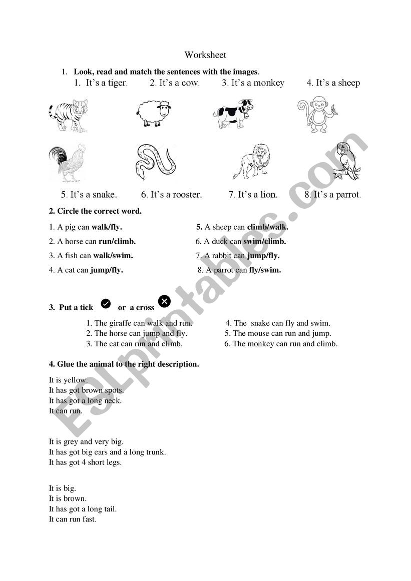 Animals worksheet