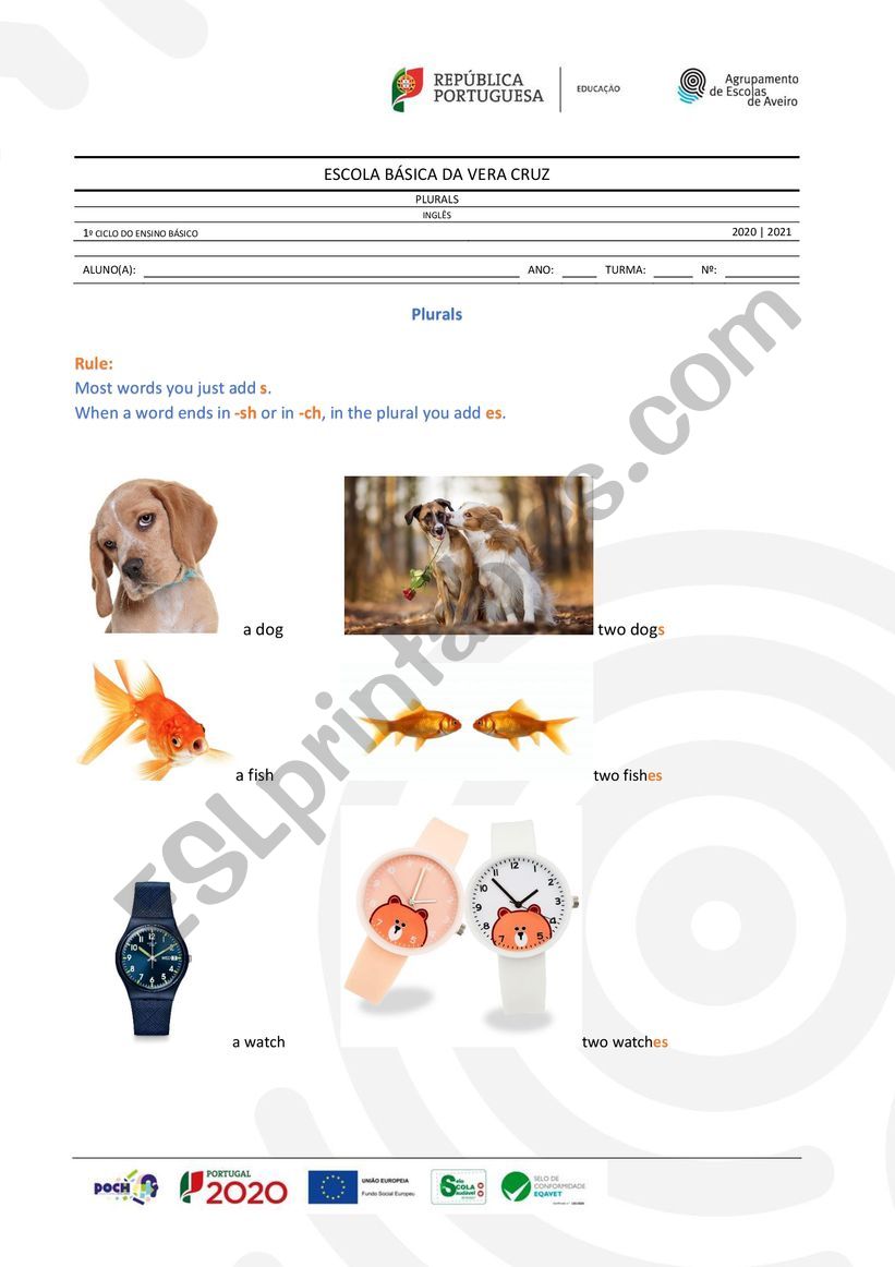 Plurals worksheet