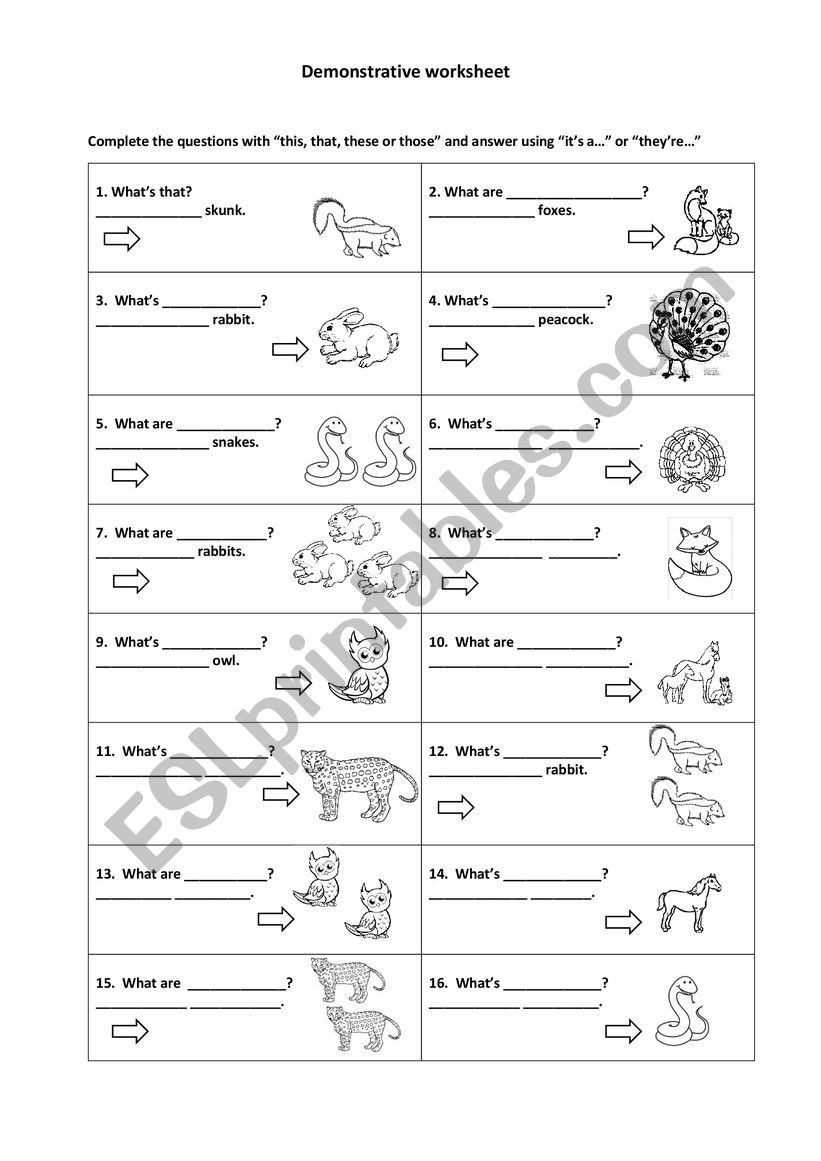 Demonstrative questions worksheet