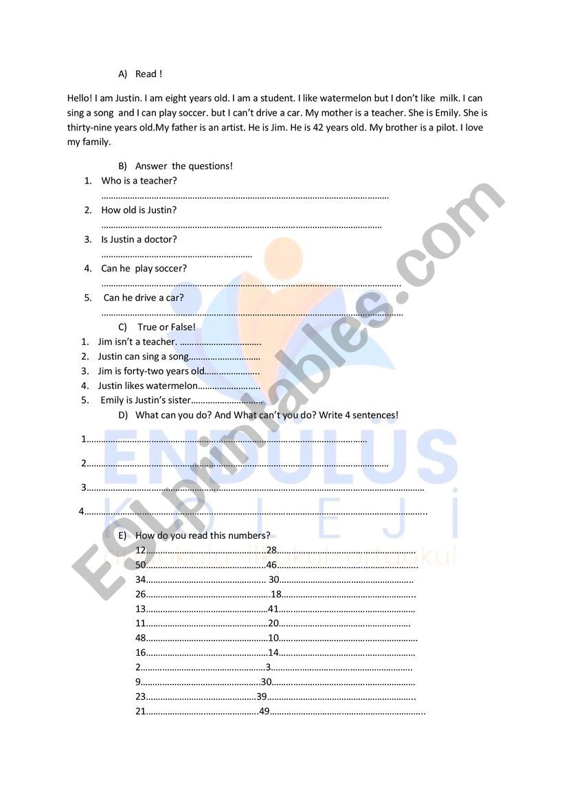 can can�t activity worksheet