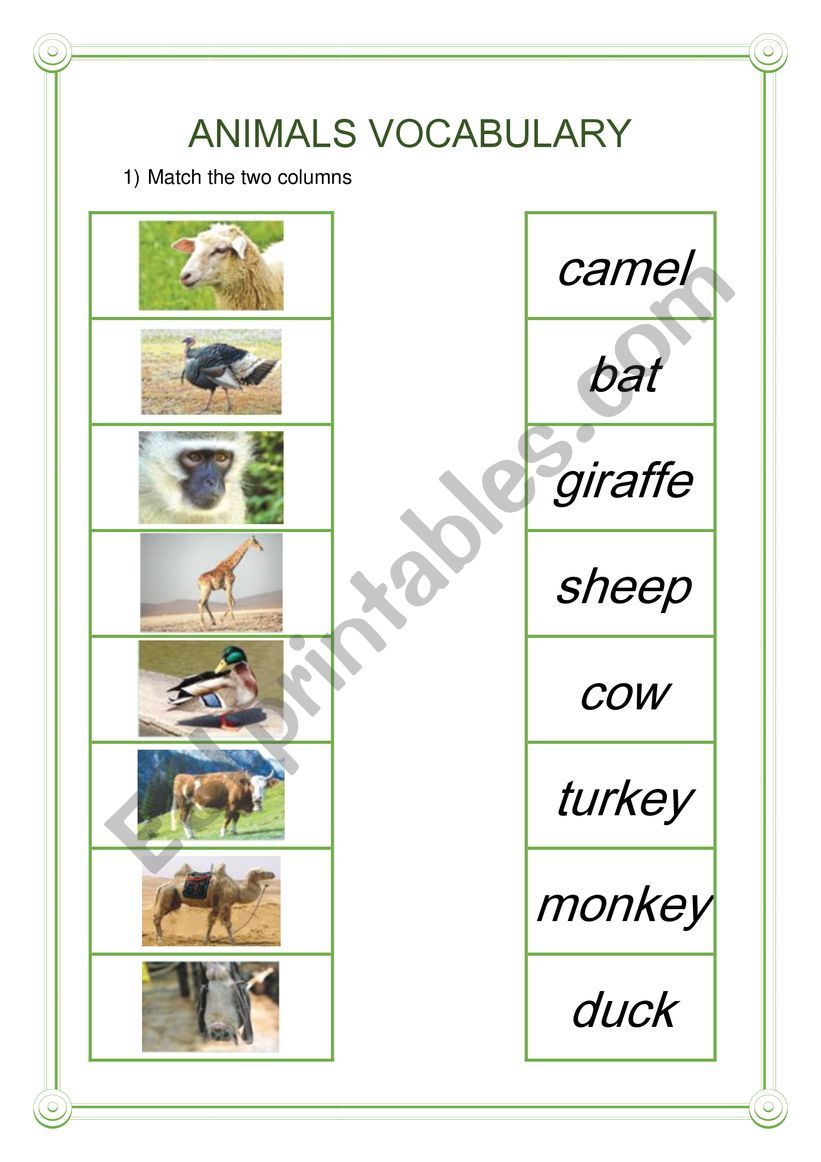 Animals Vocabulary  worksheet