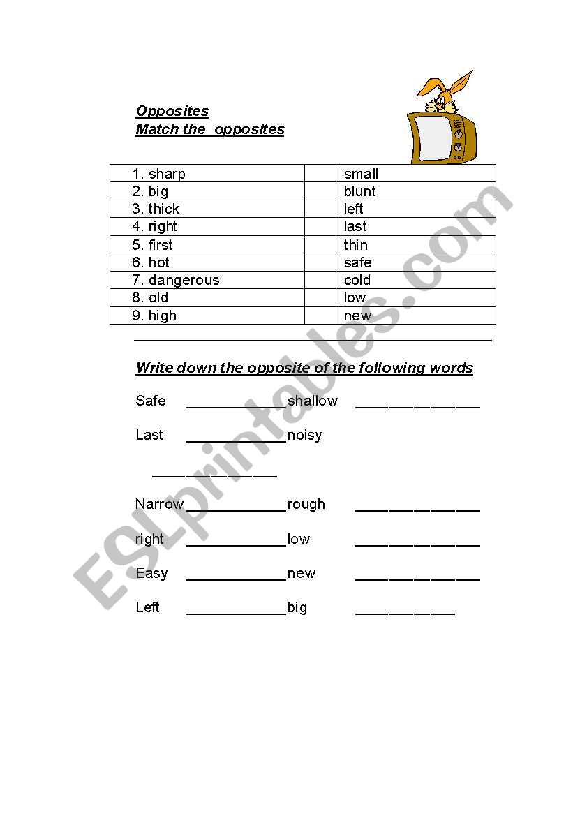 Opposites worksheet