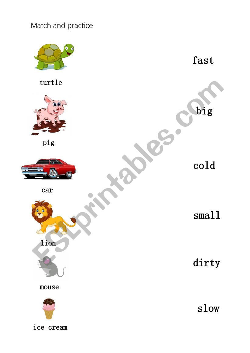 opposite words  worksheet