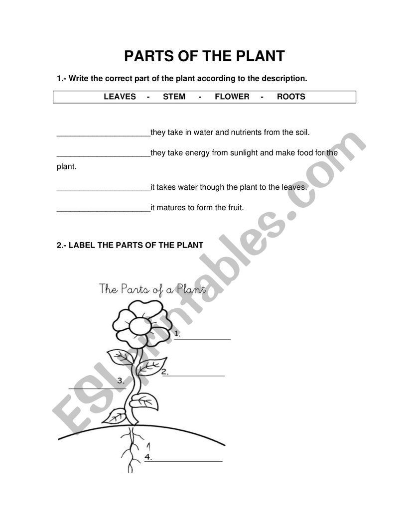 part of palant worksheet
