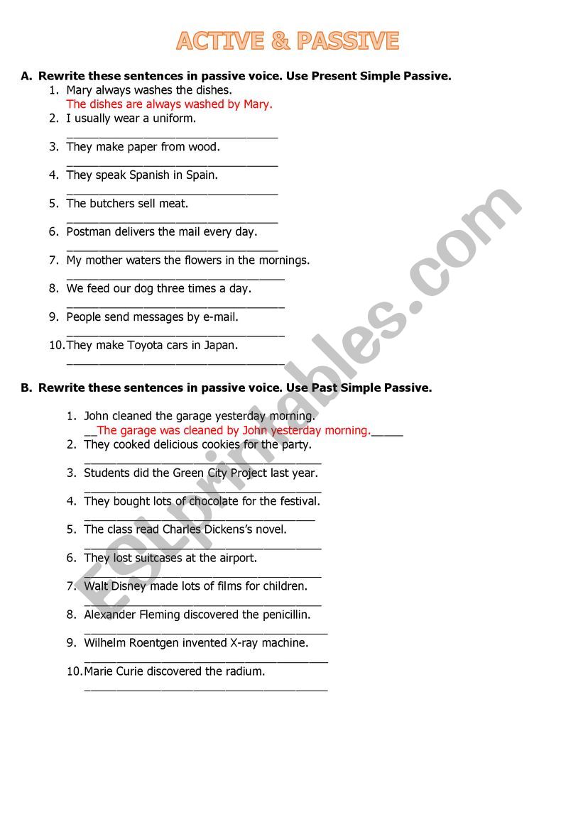 Present and Past Passive worksheet