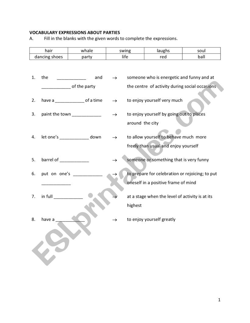 Vocabulary expressions about parties