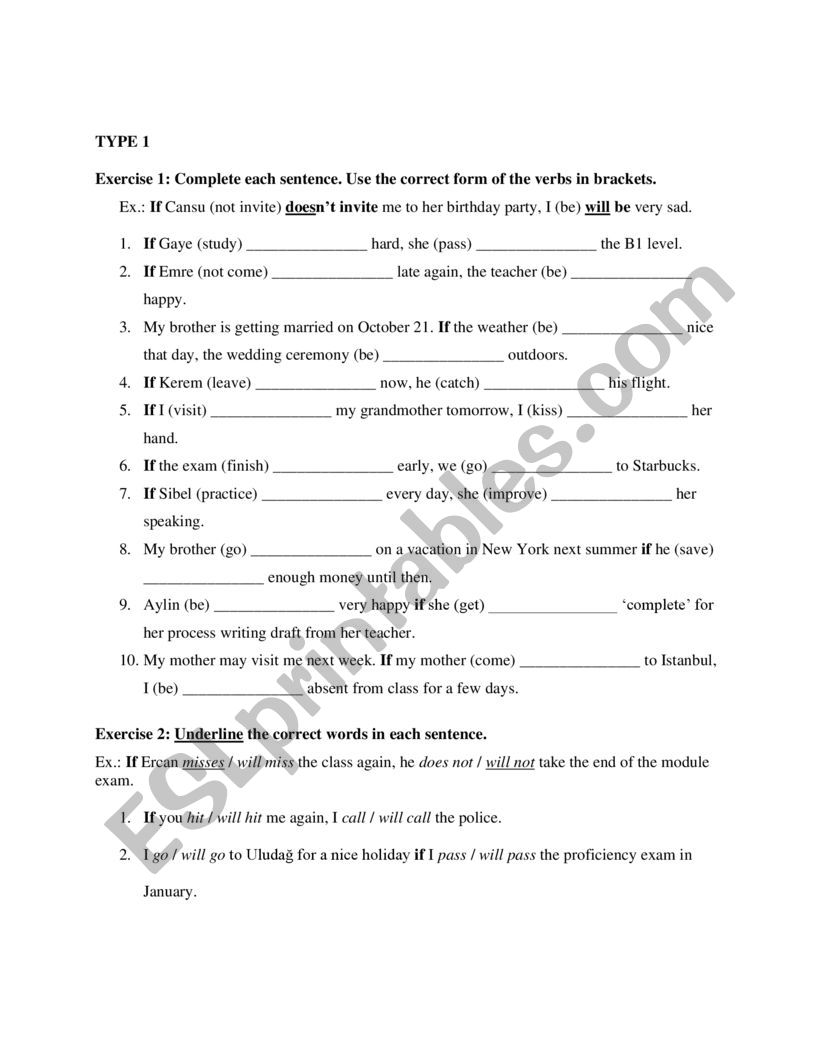 TYPE 1 CONDITIONAL worksheet