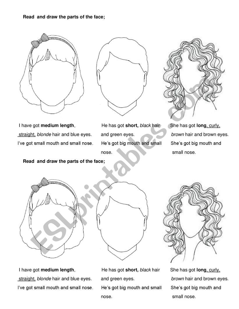 Parts of the face worksheet