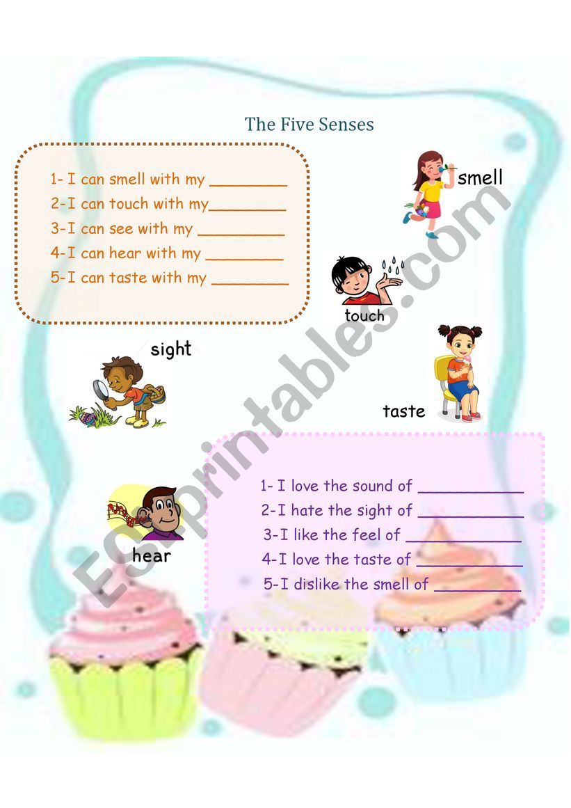 The Five Senses worksheet