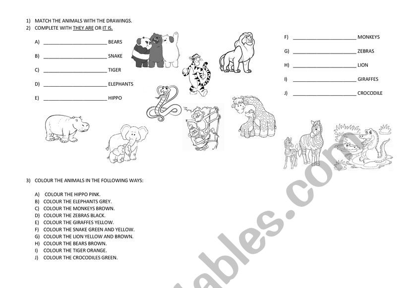 Wild animals activity worksheet