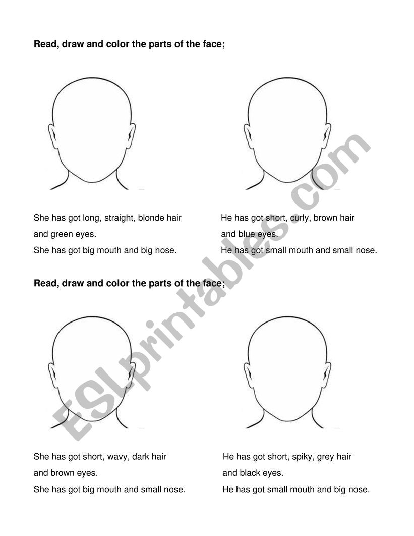 Parts of the face worksheet