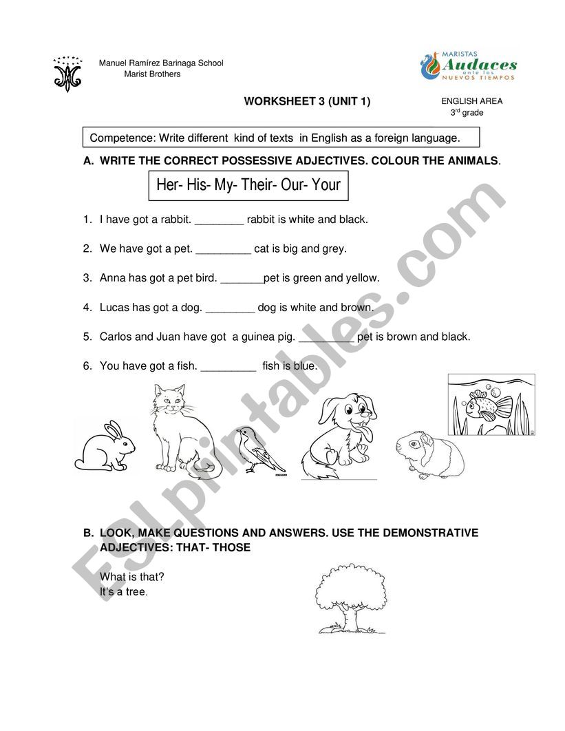 Demonstrative Adjectives Worksheets To Do