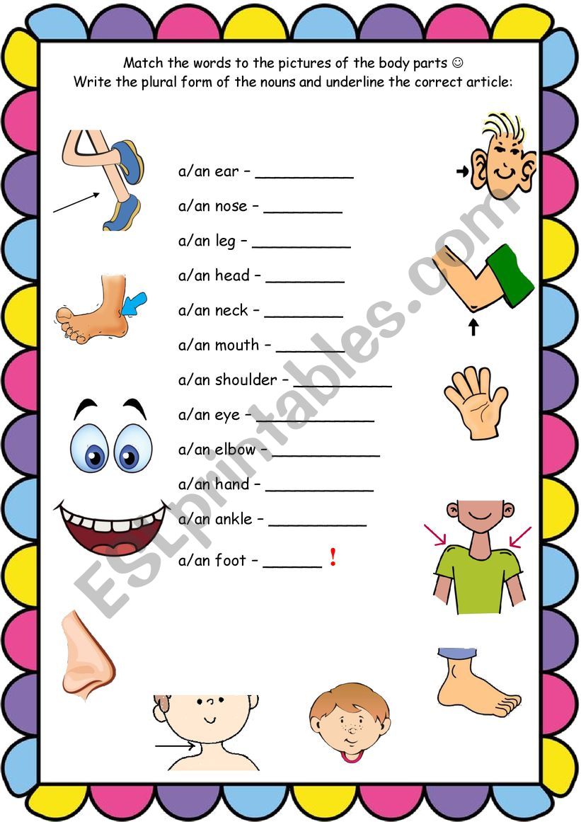 identify-singular-and-plural-nouns-printable-worksheets-for-grade-1-kidpid