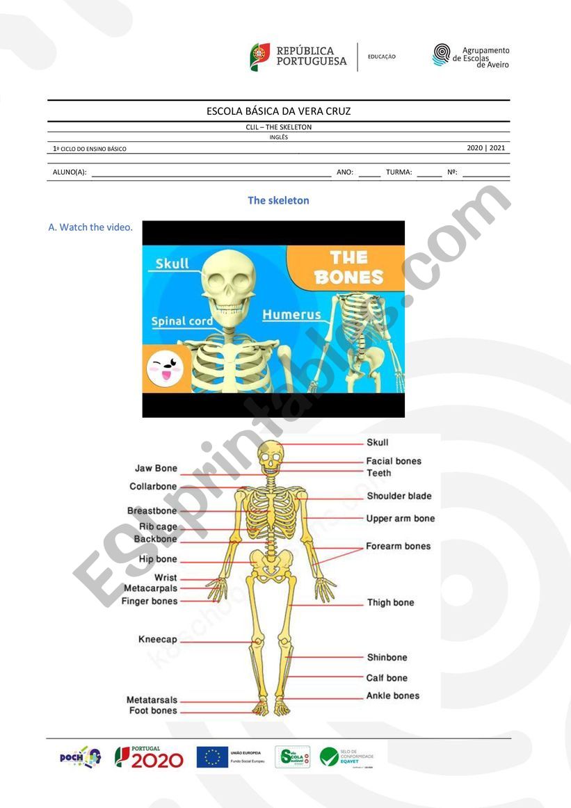 The skeleton worksheet