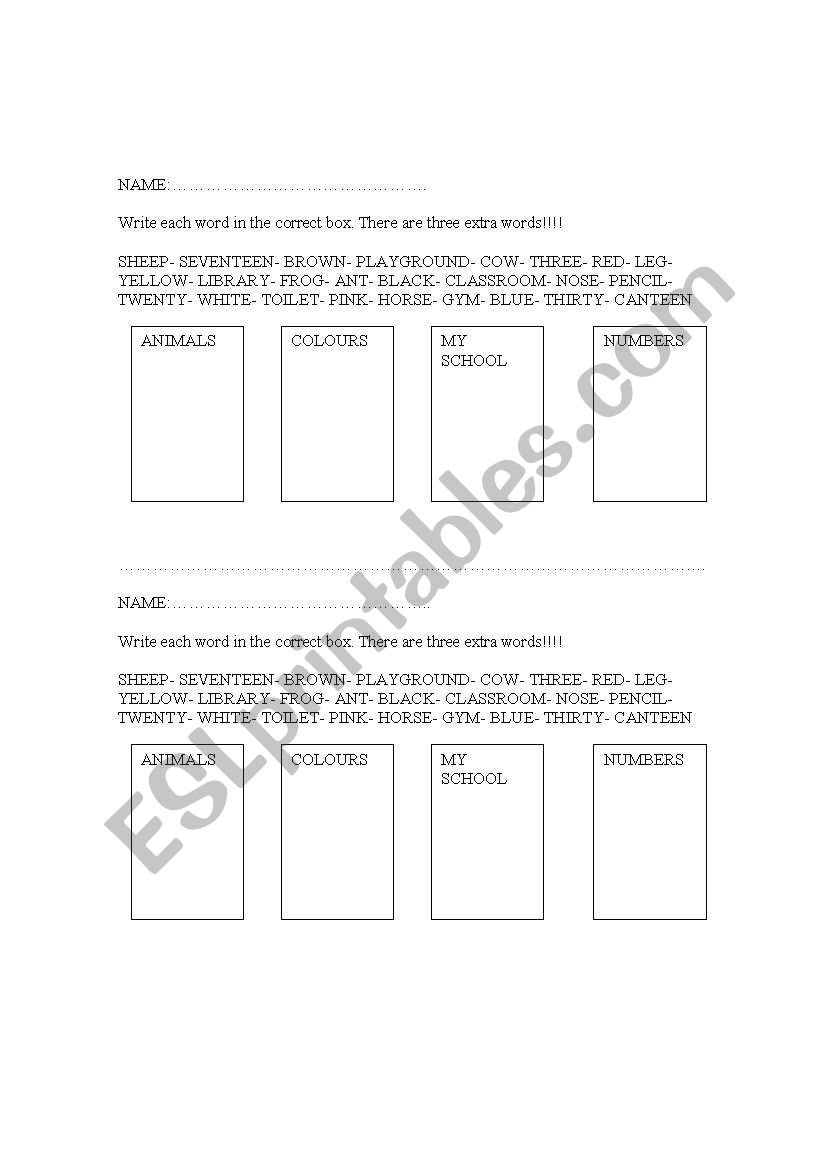 classify words worksheet