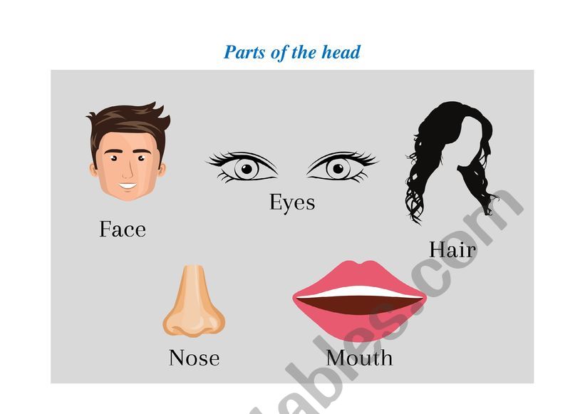 Human Body - Parts of the head - ESL worksheet by NuryaCosta