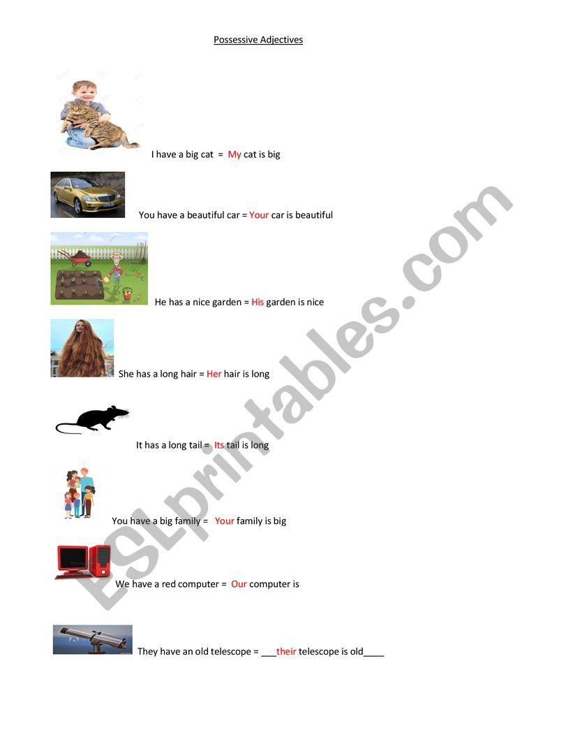 possessive adjectives explanation