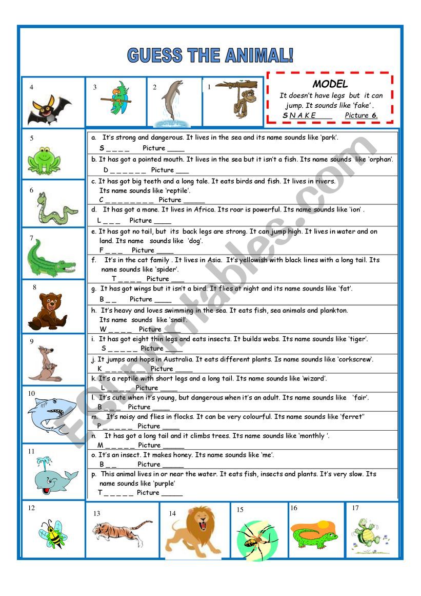 animals worksheet