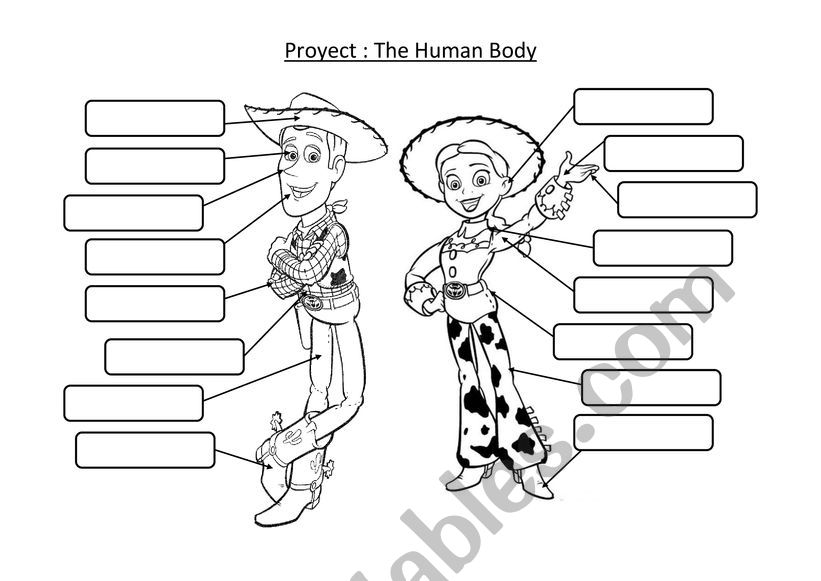 Parts of the body worksheet