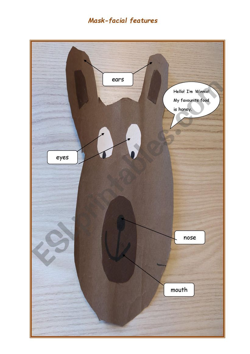 Bear-facial features worksheet