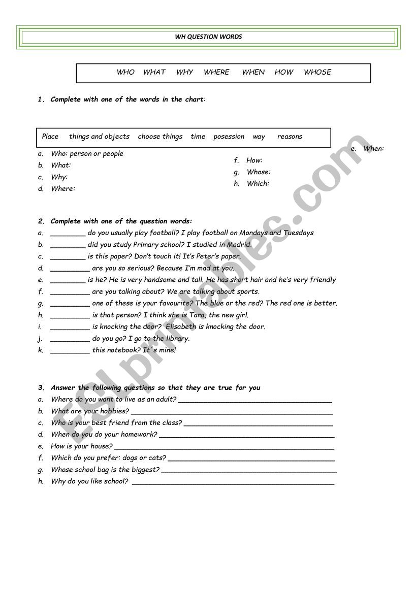 WH question words worksheet