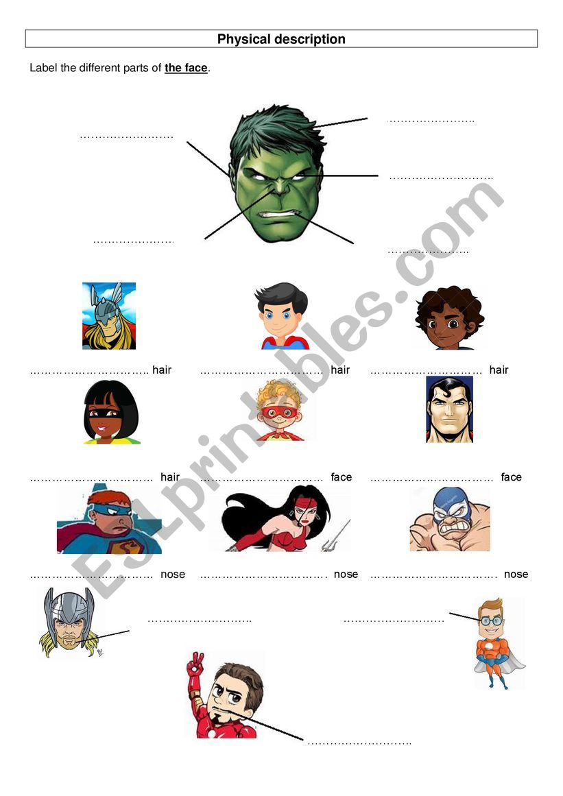 Physical Description worksheet