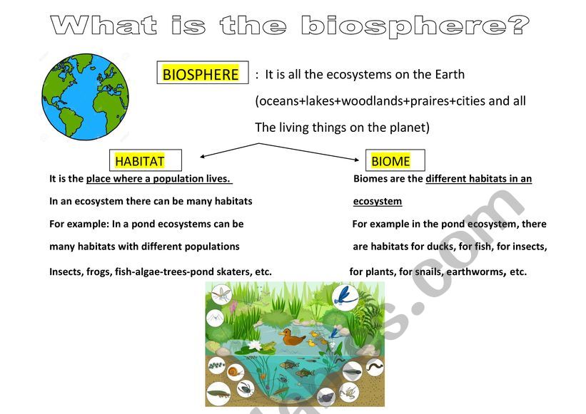 Biosphere worksheet
