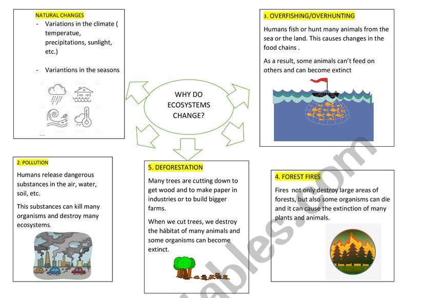 ecosystmes problems worksheet