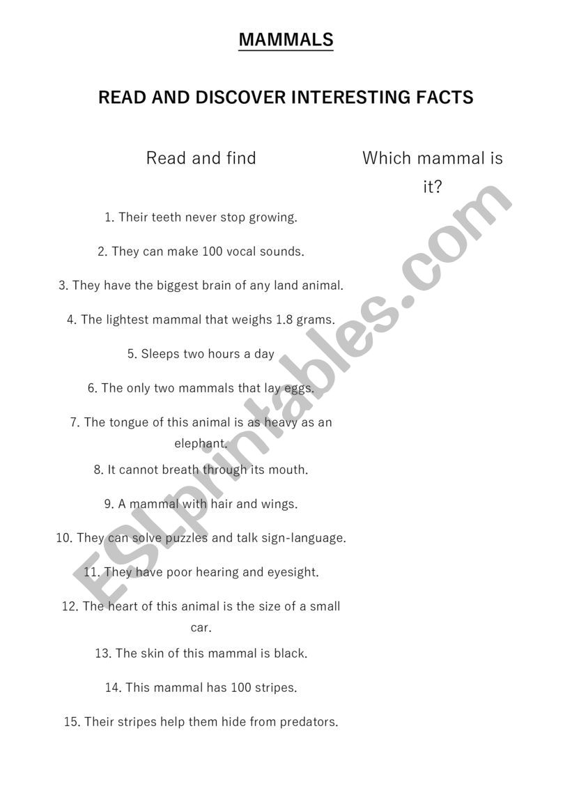 Mammals info search worksheet