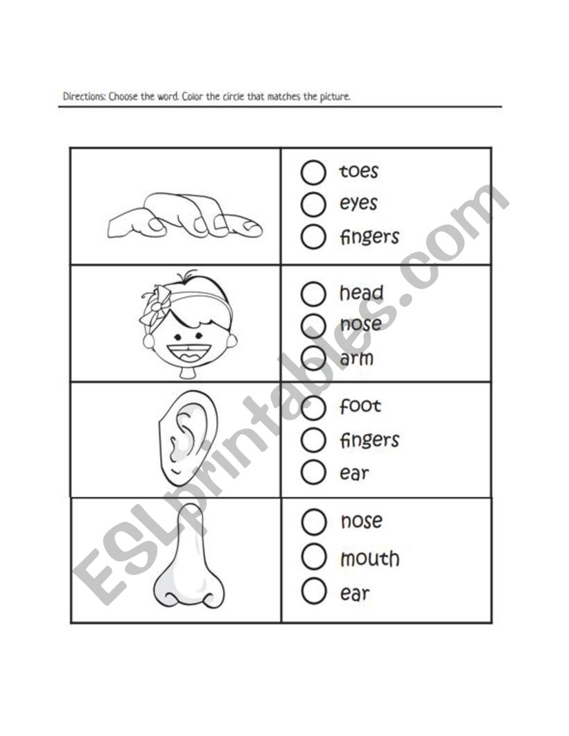 Part of the Body worksheet