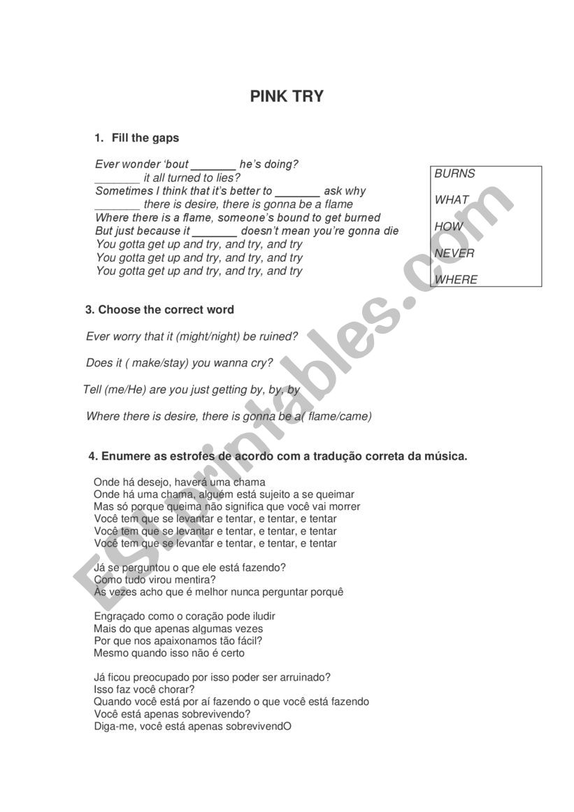 TRy - Pink Song worksheet