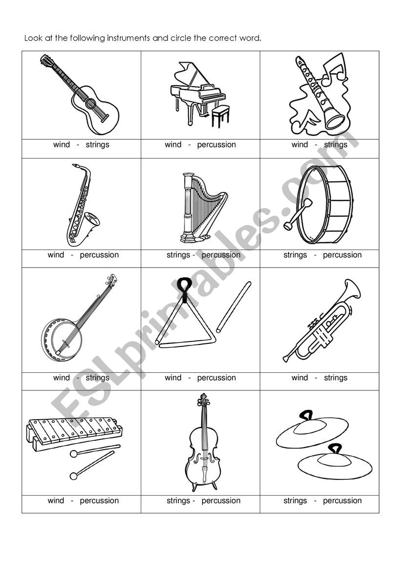 Types of Instruments worksheet