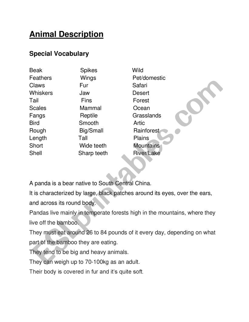 Animal Description  worksheet